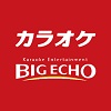 big-echo-coupon