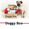 ドギーボックス(Doggy Box)クーポン